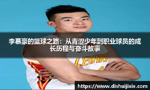 mk体育官网入口