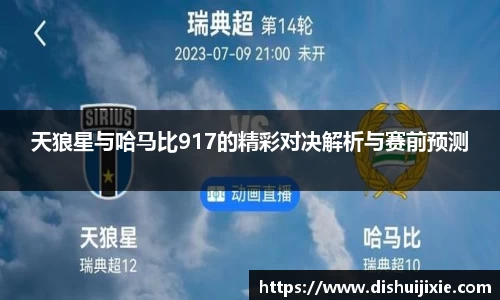 天狼星与哈马比917的精彩对决解析与赛前预测